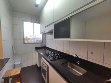 Alugar Apartamento / Padrão em São José do Rio Preto R$ 1.350,00 - Foto 7