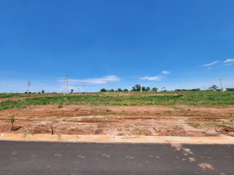 Terreno / Padrão em São José do Rio Preto 