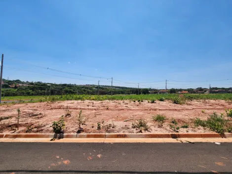 Alugar Terreno / Padrão em São José do Rio Preto. apenas R$ 84.000,00