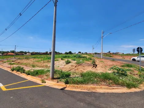 Alugar Terreno / Padrão em São José do Rio Preto. apenas R$ 89.600,00