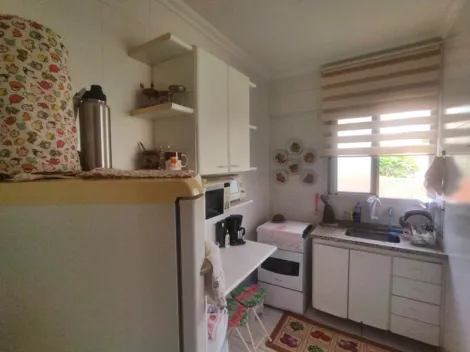 Alugar Apartamento / Padrão em São José do Rio Preto R$ 1.300,00 - Foto 7