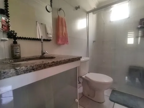 Alugar Apartamento / Padrão em São José do Rio Preto R$ 1.300,00 - Foto 10