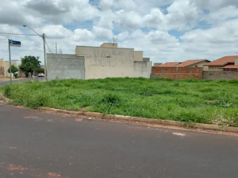 Comprar Terreno / Padrão em São José do Rio Preto apenas R$ 170.000,00 - Foto 2