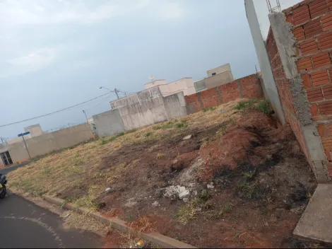 Comprar Terreno / Padrão em São José do Rio Preto R$ 170.000,00 - Foto 3