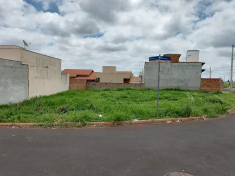 Comprar Terreno / Padrão em São José do Rio Preto apenas R$ 170.000,00 - Foto 6