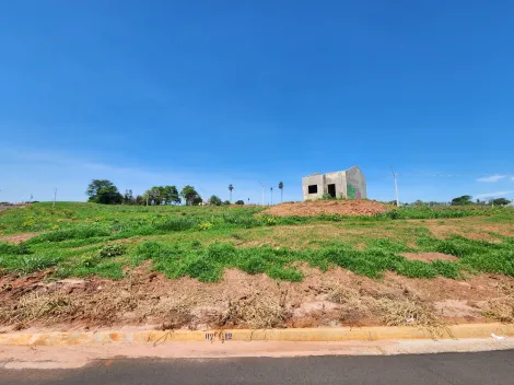 Comprar Terreno / Padrão em São José do Rio Preto R$ 224.600,00 - Foto 1