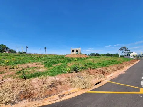 Comprar Terreno / Padrão em São José do Rio Preto R$ 224.600,00 - Foto 2