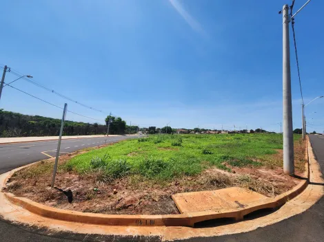 Terreno / Padrão em São José do Rio Preto , Comprar por R$264.600,00