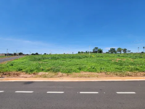 Alugar Terreno / Padrão em São José do Rio Preto. apenas R$ 248.200,00