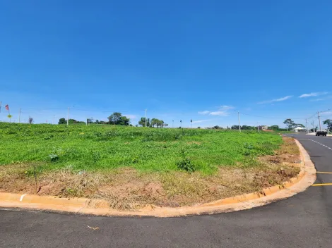 Comprar Terreno / Padrão em São José do Rio Preto R$ 248.200,00 - Foto 2