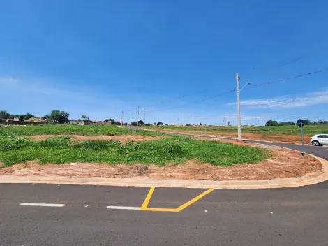 Terreno / Padrão em São José do Rio Preto 