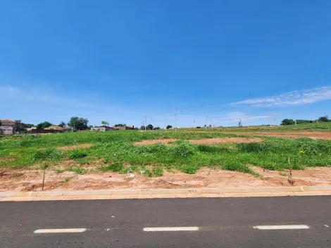 Terreno / Padrão em São José do Rio Preto 