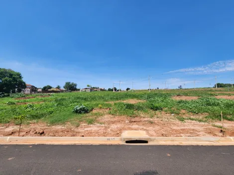 Terreno / Padrão em São José do Rio Preto 