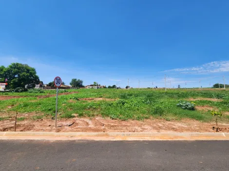 Terreno / Padrão em São José do Rio Preto 