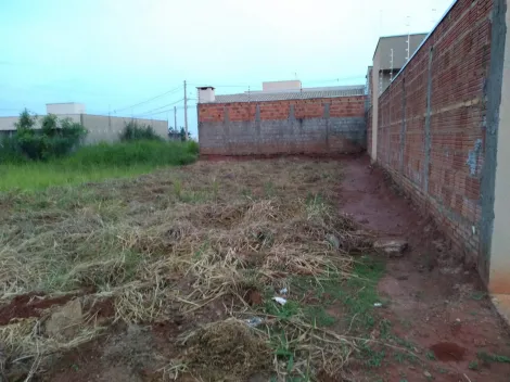 Terreno / Padrão em São José do Rio Preto 