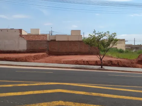 Terreno / Padrão em São José do Rio Preto 