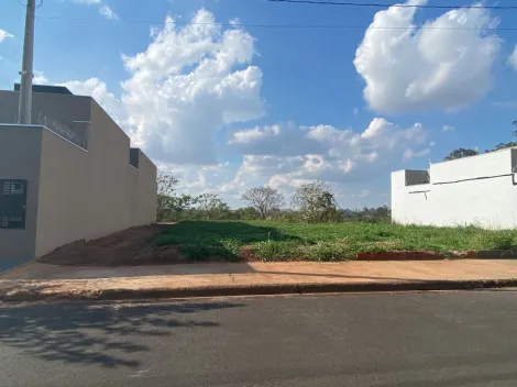 Alugar Terreno / Padrão em São José do Rio Preto. apenas R$ 85.000,00