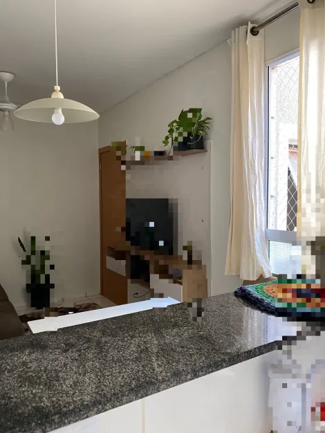 Alugar Apartamento / Padrão em São José do Rio Preto R$ 550,00 - Foto 2