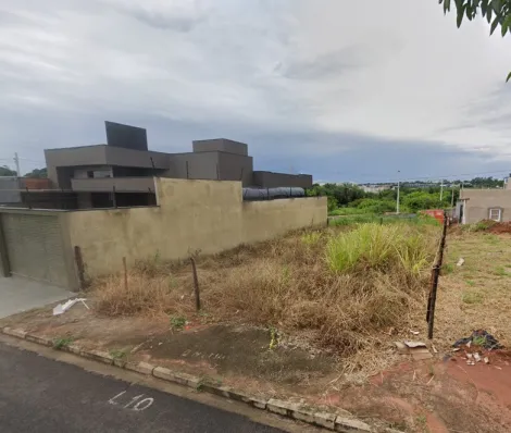 Terreno / Padrão em São José do Rio Preto 