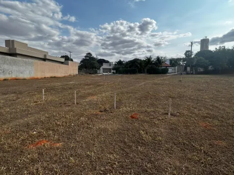 Comprar Terreno / Condomínio em São José do Rio Preto R$ 450.000,00 - Foto 3