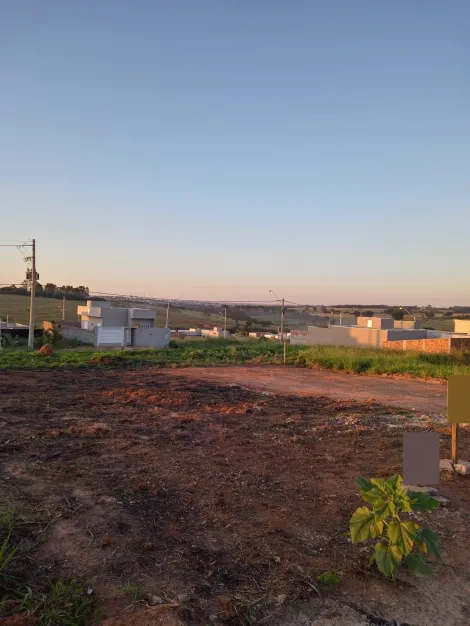 Comprar Terreno / Padrão em São José do Rio Preto R$ 119.000,00 - Foto 2