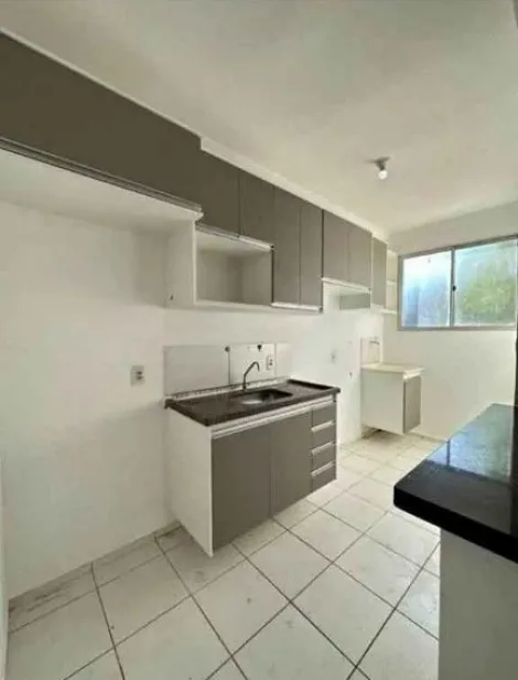 Alugar Apartamento / Padrão em São José do Rio Preto R$ 960,00 - Foto 2