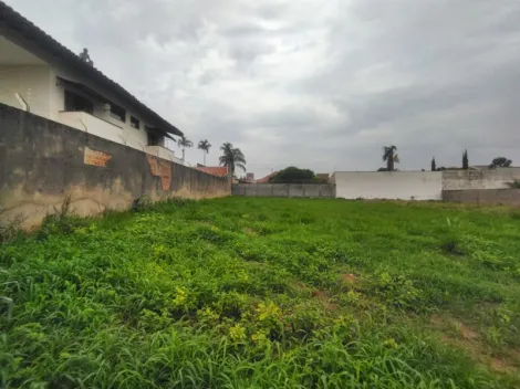 Comprar Terreno / Padrão em São José do Rio Preto R$ 520.000,00 - Foto 3