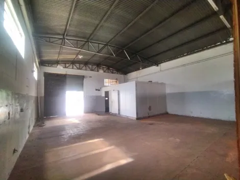 Alugar Comercial / Salão em São José do Rio Preto R$ 5.000,00 - Foto 4