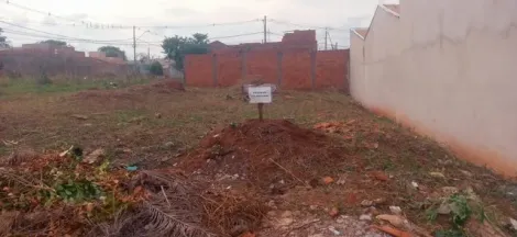 Terreno / Padrão em São José do Rio Preto 