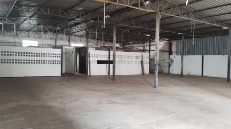 Comercial / Salão em São José do Rio Preto Alugar por R$15.000,00