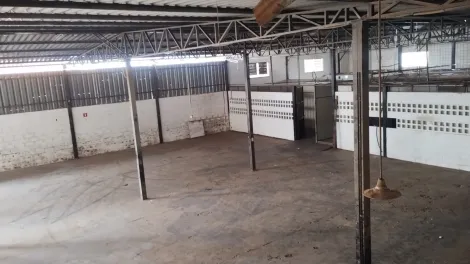 Alugar Comercial / Salão em São José do Rio Preto R$ 15.000,00 - Foto 11