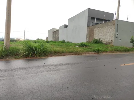 Comprar Terreno / Padrão em São José do Rio Preto apenas R$ 120.000,00 - Foto 7