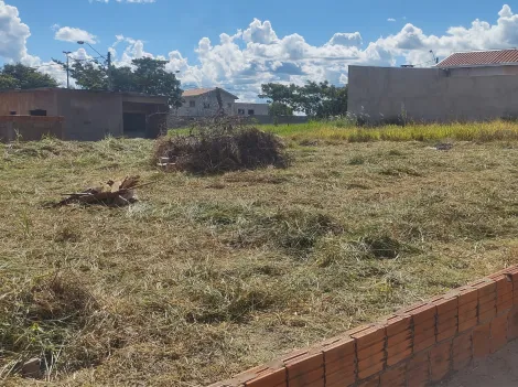 Comprar Terreno / Padrão em Mirassol R$ 90.000,00 - Foto 7