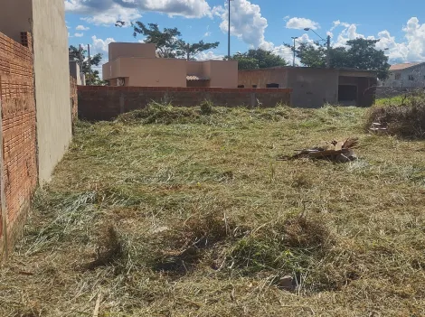 Comprar Terreno / Padrão em Mirassol apenas R$ 90.000,00 - Foto 6