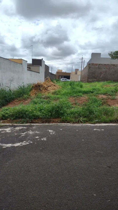 Comprar Terreno / Padrão em Bady Bassitt R$ 59.500,00 - Foto 3