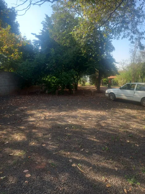 Comprar Rural / Chácara em São José do Rio Preto apenas R$ 490.000,00 - Foto 2