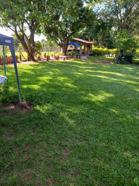 Comprar Rural / Chácara em São José do Rio Preto apenas R$ 490.000,00 - Foto 5