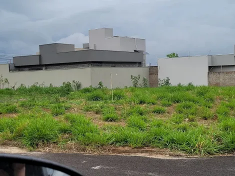 Terreno / Padrão em São José do Rio Preto 