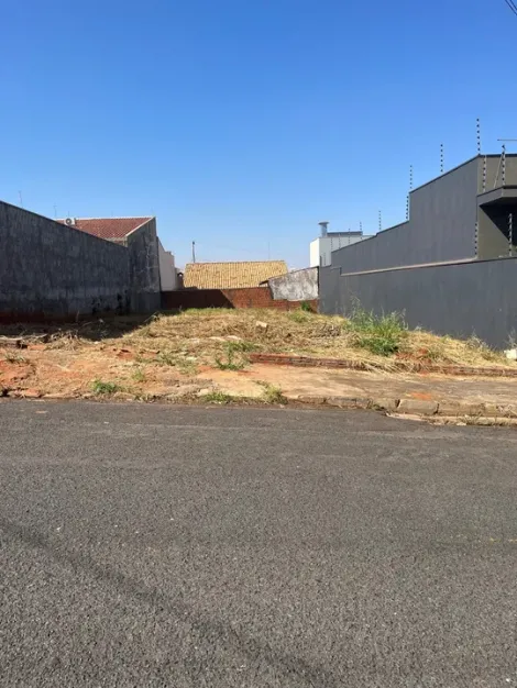 Terreno / Padrão em São José do Rio Preto 