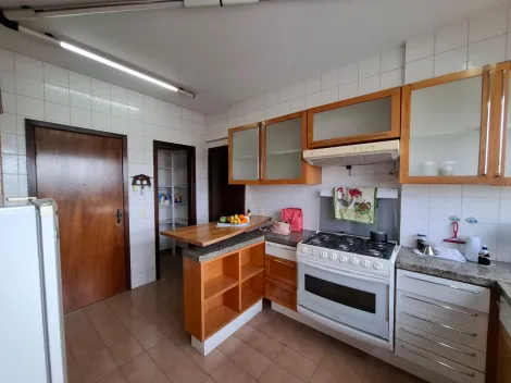 Alugar Apartamento / Padrão em São José do Rio Preto apenas R$ 1.300,00 - Foto 8