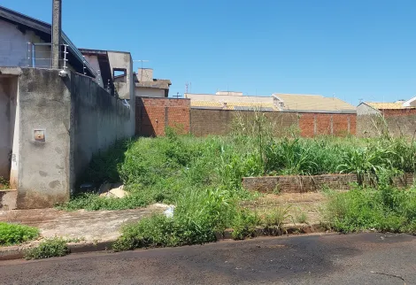 Terreno / Padrão em São José do Rio Preto 