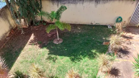 Comprar Casa / Sobrado em São José do Rio Preto apenas R$ 800.000,00 - Foto 14