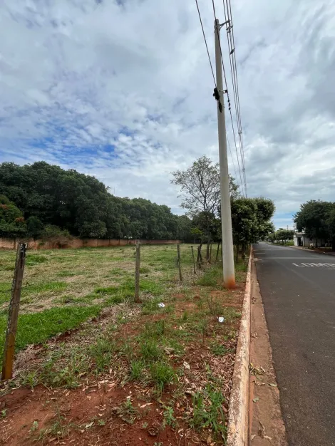 Comprar Terreno / Padrão em Palestina apenas R$ 77.600,00 - Foto 2