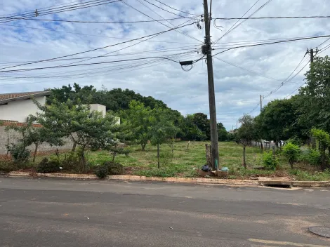 Terreno / Padrão em Palestina 