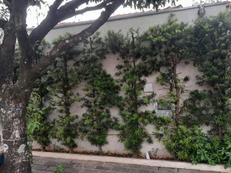 Alugar Casa / Padrão em São José do Rio Preto apenas R$ 2.700,00 - Foto 28