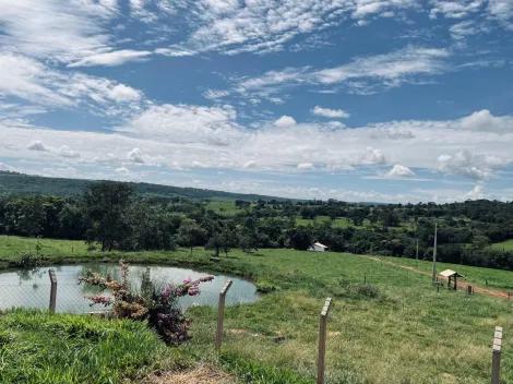 Comprar Rural / Fazenda em Comendador Gomes apenas R$ 4.000.000,00 - Foto 10