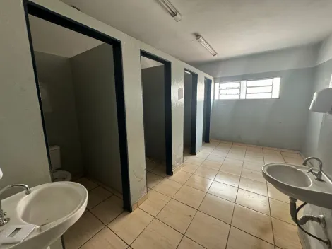 Alugar Comercial / Salão em São José do Rio Preto R$ 30.000,00 - Foto 13