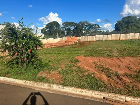 Comprar Terreno / Condomínio em São José do Rio Preto apenas R$ 380.000,00 - Foto 2