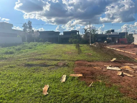 Comprar Terreno / Condomínio em São José do Rio Preto apenas R$ 380.000,00 - Foto 3