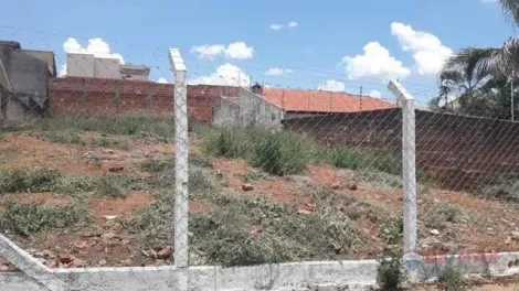 Terreno / Padrão em São José do Rio Preto 